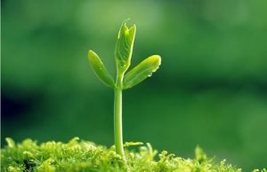 0c5b944f2a3d48d5ab86c359fe5256a6插图