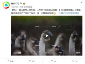 6365845944248470673173044插图