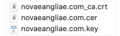 aipage网站HTTPS证书的配置插图2