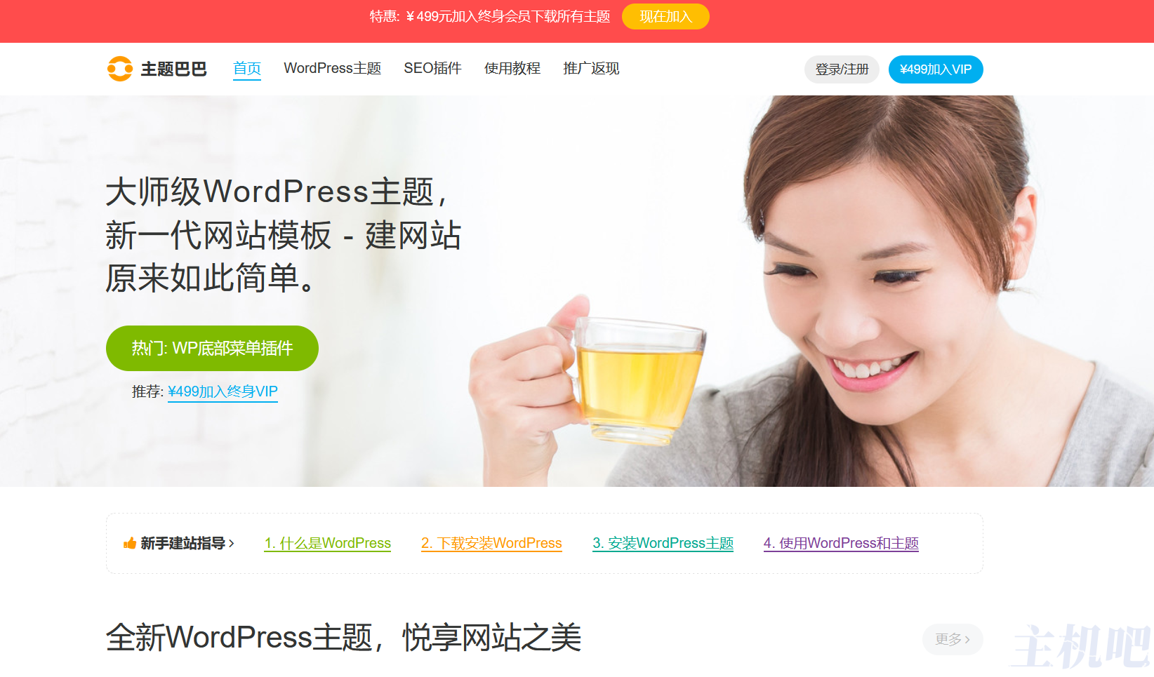 主题巴巴倒闭了? 网站都关了插图3 主题巴巴倒闭了? 网站都关了插图3