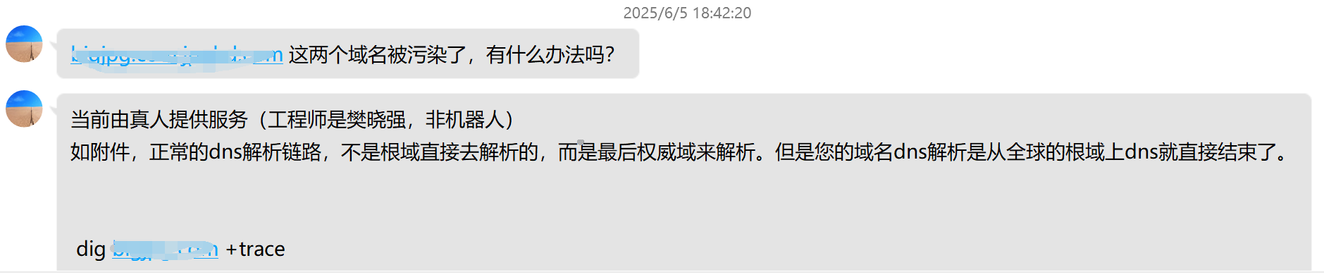 域名有备案不建议用海外CDN 容易被国内DNS污染插图
