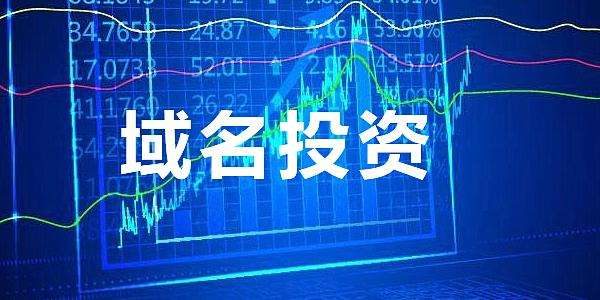 域名投资的技巧与案例