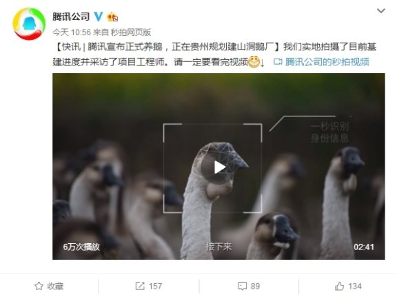 wordpress实现远程图片本地化插件 支持最新版本wordpress