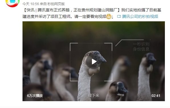 wordpress实现远程图片本地化插件 支持最新版本wordpress