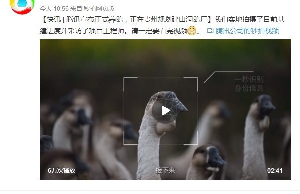 wordpress实现远程图片本地化插件 支持最新版本wordpress