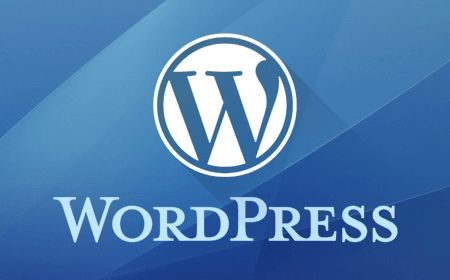 wordpress博客程序如何解决打开慢打开顿卡问题