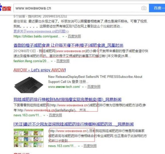 年入百万的我哇减肥网整体SEO优化方案