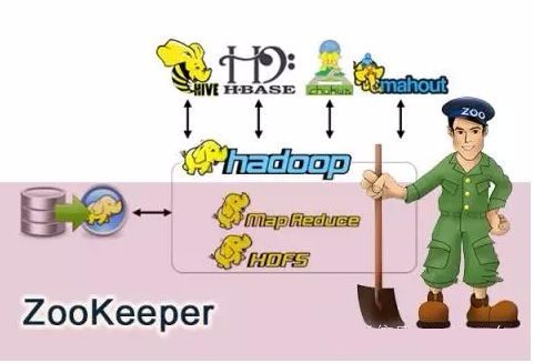 linux服务器上安装zookeeper 启动和关闭的教程