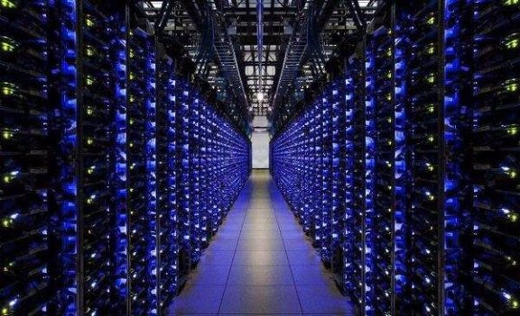 吐嘈!小鸟云,交了一次智商税