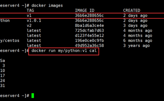 Docker容器的创建、启动、和停止教学