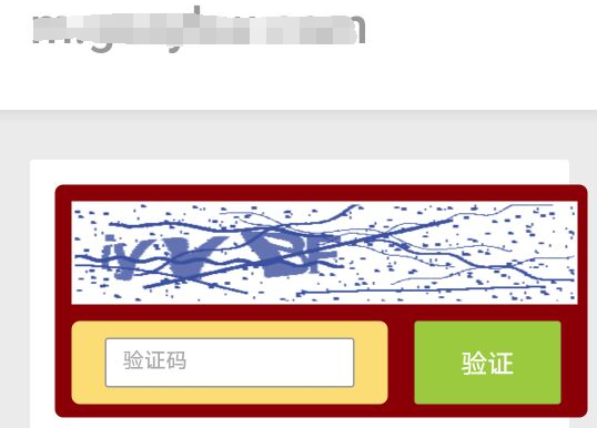 网站出现百度云加速安全检查 要输入验证码原因