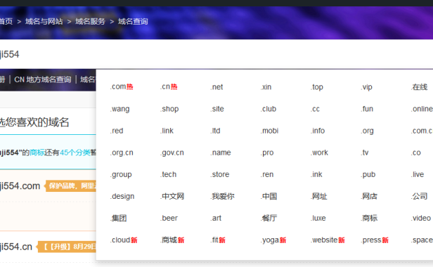 域名.chn正式开放注册了 不过看着有点魔幻