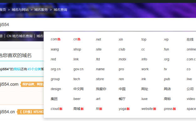 域名.chn正式开放注册了 不过看着有点魔幻