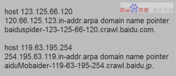 教你如何识别百度蜘蛛