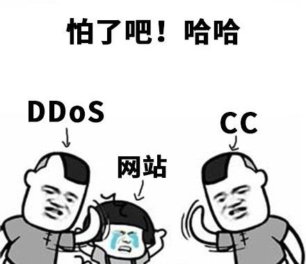 什么是CC攻击？CC攻击原理种类与防御