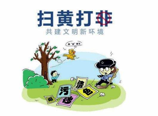 2020年全国开展「扫黄打非·新风」集中行动对网络涉黄等大扫除