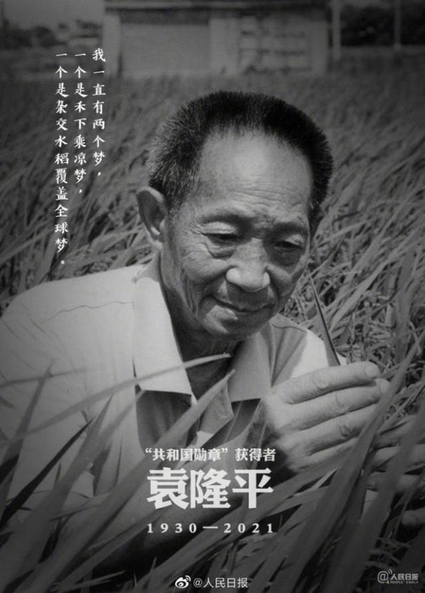 “杂交水稻之父”袁隆平院士逝世 享年91岁