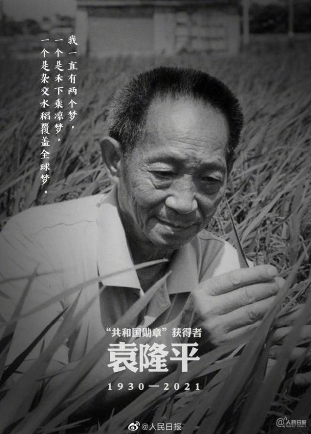 “杂交水稻之父”袁隆平院士逝世 享年91岁
