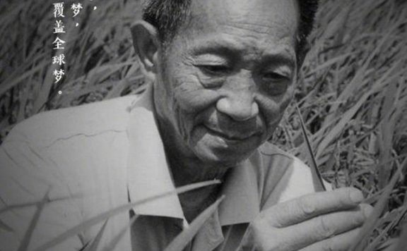 “杂交水稻之父”袁隆平院士逝世 享年91岁
