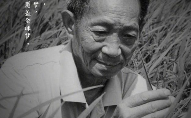 “杂交水稻之父”袁隆平院士逝世 享年91岁