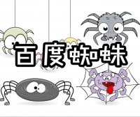 网站被cc攻击后开启百度云加速强力防护会不会拦截百度的蜘蛛池ip?