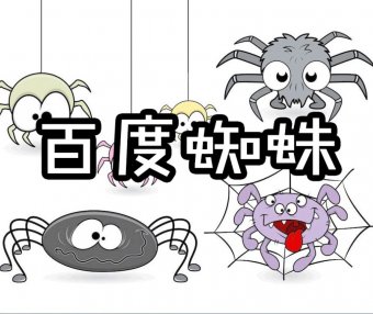 网站被cc攻击后开启百度云加速强力防护会不会拦截百度的蜘蛛池ip?