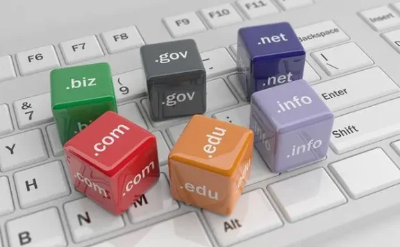 中央网信办：我国网民规模、国家顶级域名注册量均为全球第一