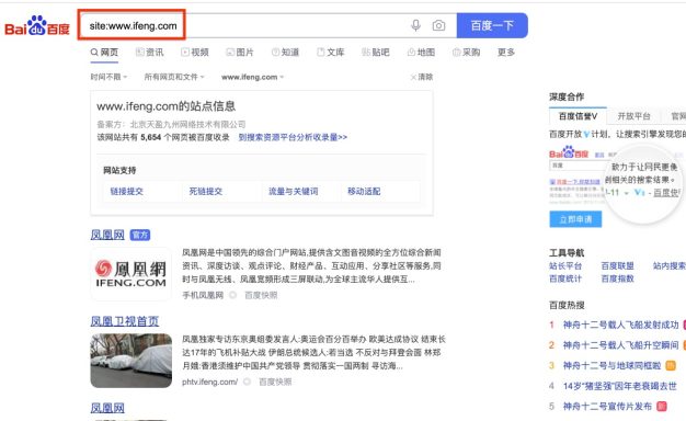 网站收录情况评估