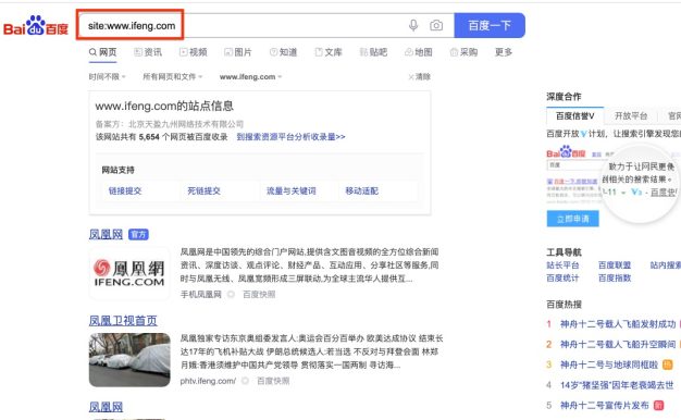 网站收录情况评估