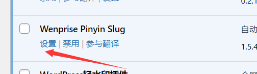 wordpress固定链接url自动转换英文教程