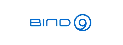 网络系统协会修复 DNS 套件 BIND 9 中 3 个漏洞，防止黑客进行 DoS 的攻击