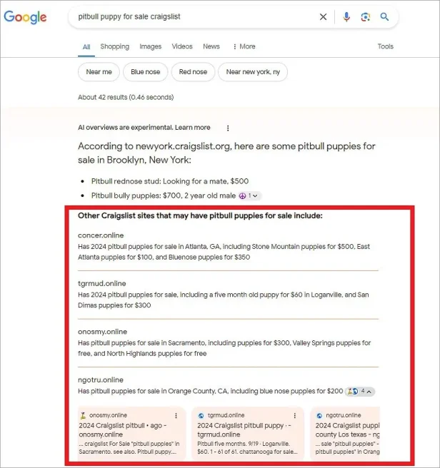 谷歌生成式 AI 搜索引擎 SGE 被曝安全隐患:向用户推荐诈骗 / 恶意网站