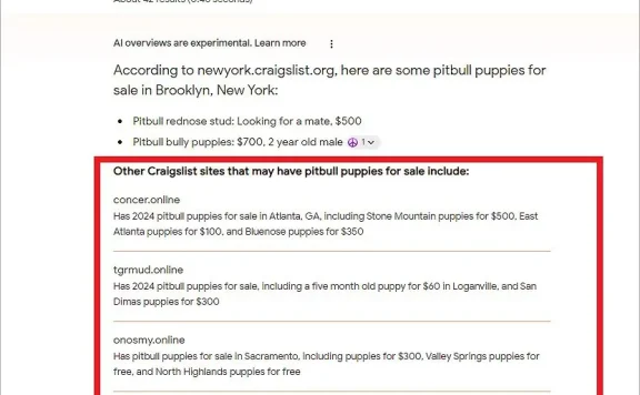 谷歌生成式 AI 搜索引擎 SGE 被曝安全隐患:向用户推荐诈骗 / 恶意网站