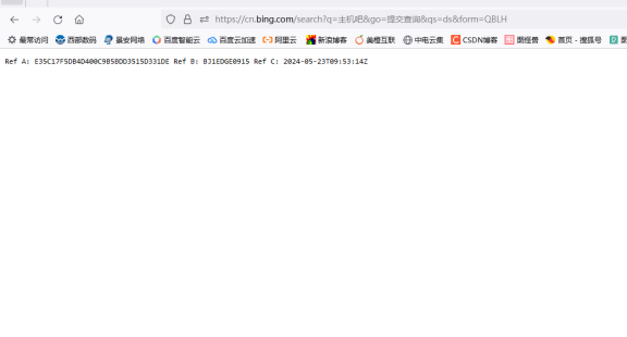 国内必应搜索挂了！