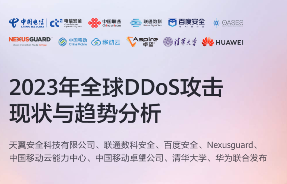 2023年全球DDoS攻击态势