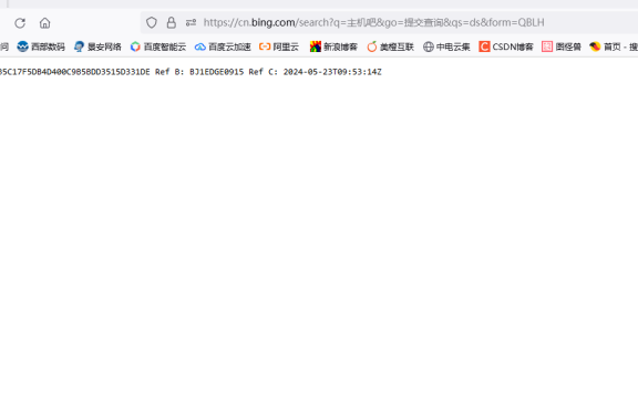 国内必应搜索挂了!