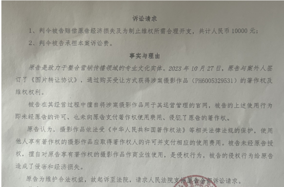 企业网站因使用一张有版权的图片被告侵权