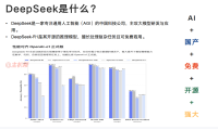 清华团队DeepSeek使用手册