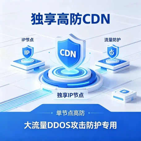 独享高防CDN 独享IP节点 单节点高防 大流量DDOS防护专用