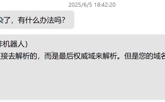 域名有备案不建议用海外CDN 容易被国内DNS污染