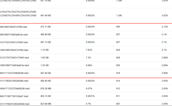 网站视频文件被刷导致流量大增怎么办？