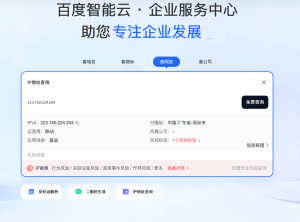 百度IP风险查询网址