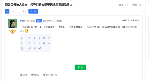 网站每天被人攻击,领导们开会说要把流量费算我头上