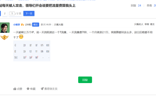 网站每天被人攻击,领导们开会说要把流量费算我头上