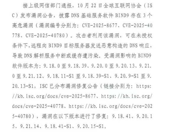 BIND9高危漏洞解决方案