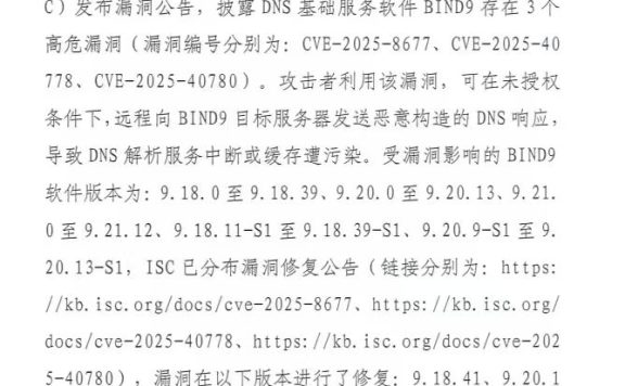 BIND9高危漏洞解决方案